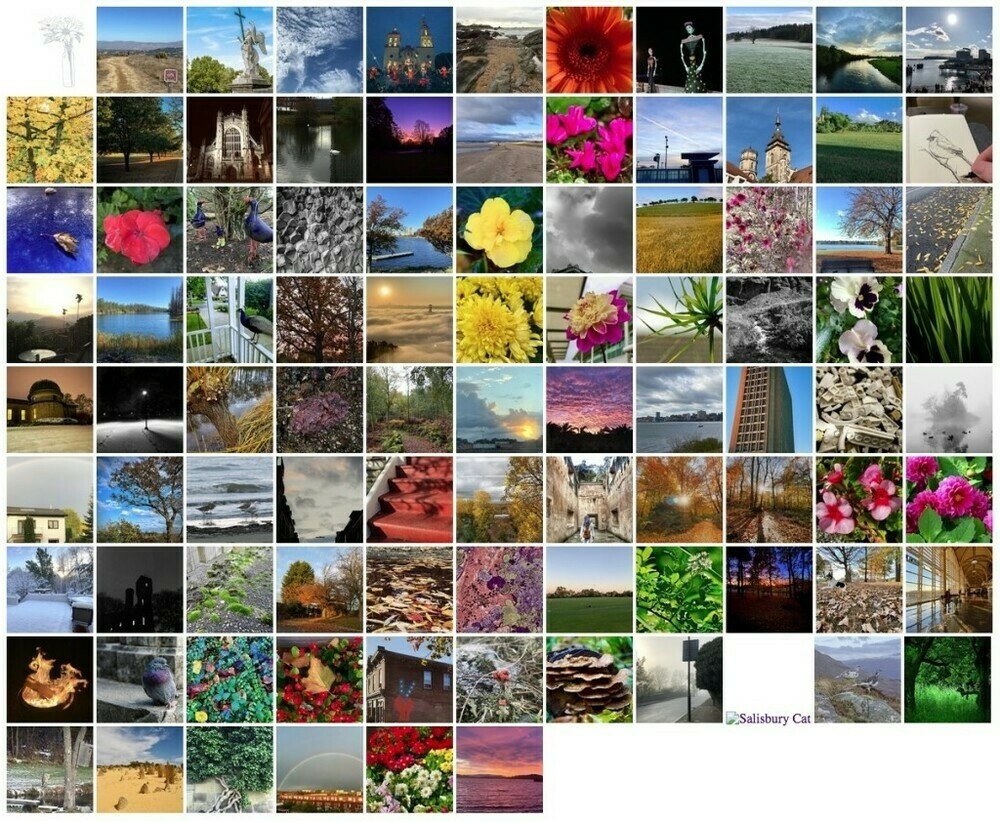 A thumbnail grid of my favorite photos on Micro.blog from 2019 W45