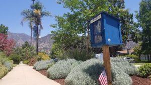 Angle from sidewalk up to a small blue Little Free Library with a garden behind it and mountains in the background