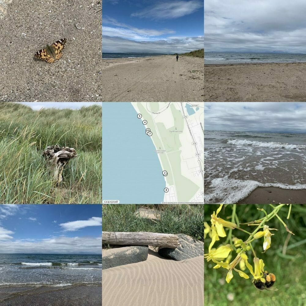 montage of photos from beach around map.