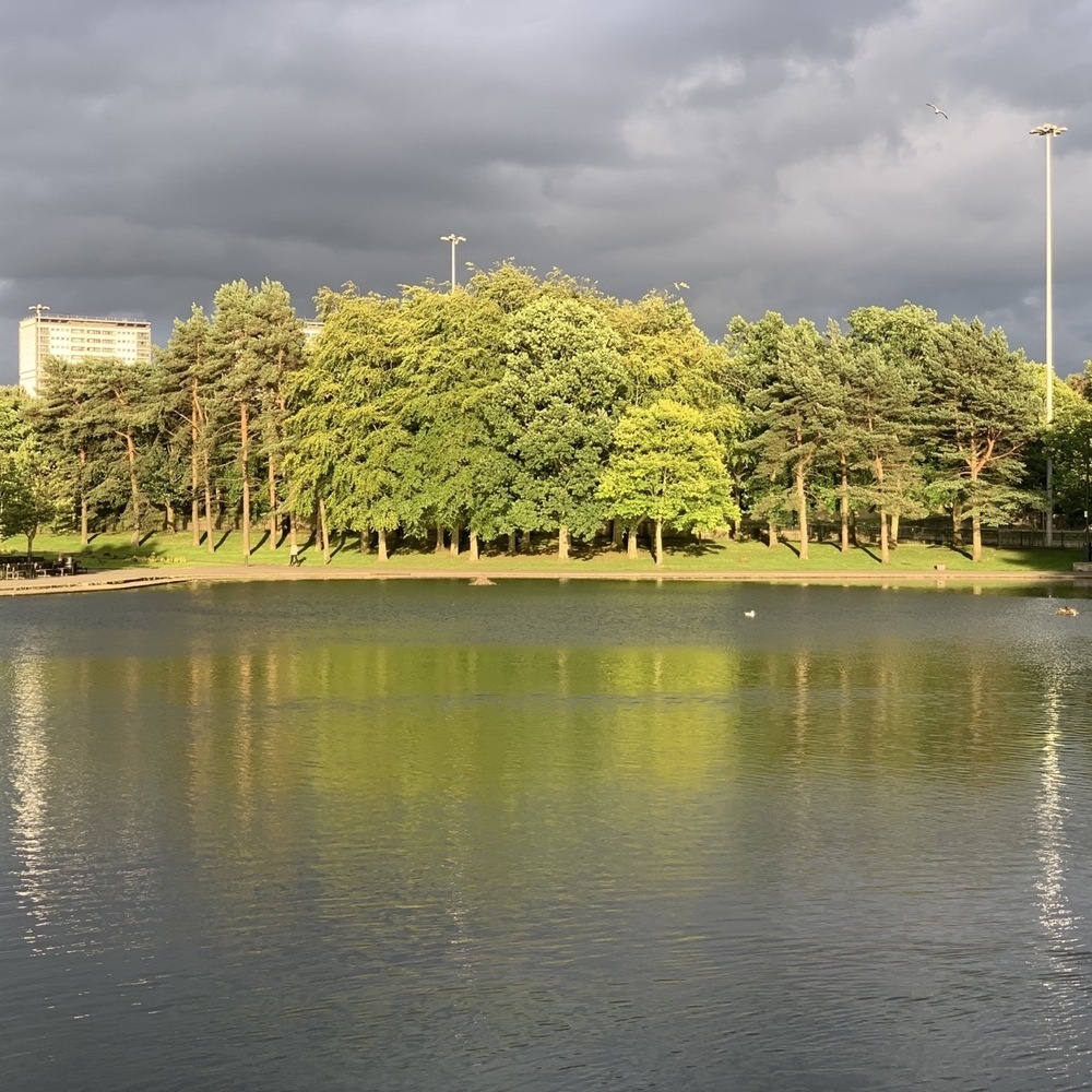 Victoria Park Pond, dark clouds, bright light on trees