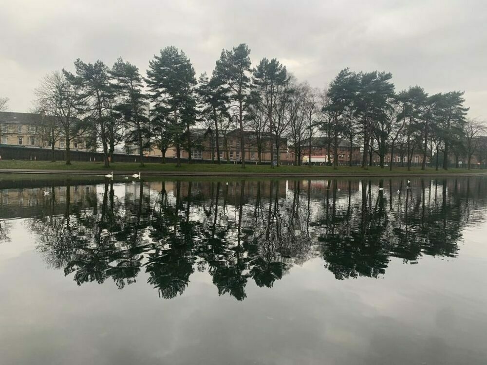 Victoria Park Pond, Scots pines reflected