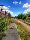 photo thumbnail