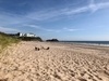 photo thumbnail