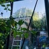 photo thumbnail