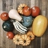 photo thumbnail