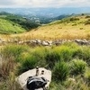 photo thumbnail
