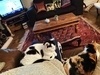 photo thumbnail