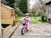 photo thumbnail
