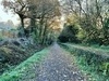 photo thumbnail