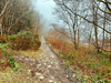 photo thumbnail