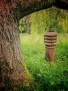 photo thumbnail