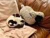 photo thumbnail
