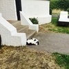 photo thumbnail