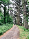 photo thumbnail