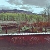 photo thumbnail