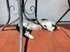 photo thumbnail