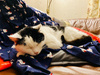 photo thumbnail