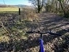 photo thumbnail