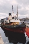 photo thumbnail