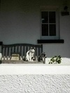 photo thumbnail