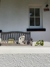 photo thumbnail