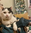 photo thumbnail