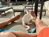 photo thumbnail
