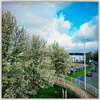 photo thumbnail