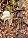 photo thumbnail