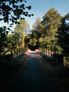 photo thumbnail