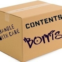 @BorrisInABox@mindly.social's avatar