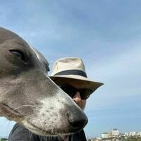 @lesanto.bsky.social's avatar