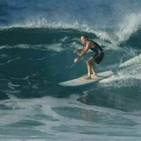 @bluesurfjaysky.bsky.social's avatar