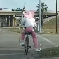 @oikalyptus.bsky.social's avatar