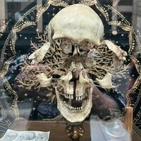 @golikehellmachine.com's avatar