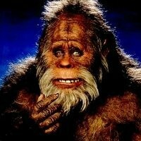 @jackacid.bsky.social's avatar