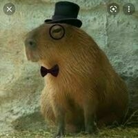 @mrcapybaraofficial.bsky.social's avatar