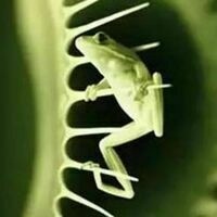 @tasharobinson.bsky.social's avatar