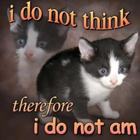 @graves501@fosstodon.org's avatar