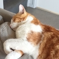 @BaronessLoveandLight@noauthority.social's avatar