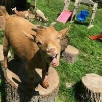 @Zennblack@freeatlantis.com's avatar