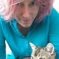 @stephtara@indieweb.social's avatar