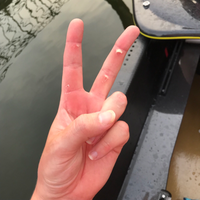 @venite@mastodon.nl's avatar