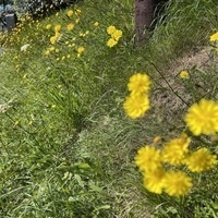 @JohnTierney@mastodon.ie's avatar