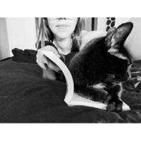 @LUH3417@masto.pt's avatar