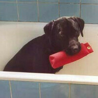 @hund@clttr.it's avatar