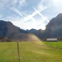 @Sherry@det.social's avatar