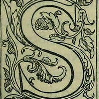 @sarae@ecoevo.social's avatar