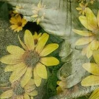 @eneh@social.tchncs.de's avatar