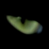 @partim@social.tchncs.de's avatar